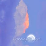 Avatar of Saira Mirza